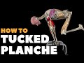 How to do a Tucked Planche | Watch all active muscles