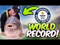 The biggest carp ever caught in the world 