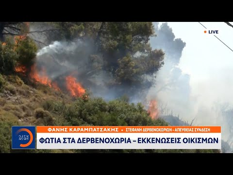 Φωτιά στη Στεφάνη Δερβενοχωρίων-Εκκενώσεις οικισμών | Μεσημεριανό Δελτίο Ειδήσεων | OPEN TV
