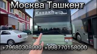 Москва Ташкент автобус #москва #ташкент #автобус #санктпетербург #шортс #узбекистан #нижнийновгород