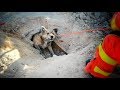 Increíble rescate de un perro atrapado en una acequia bajo la carretera