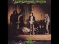 Video Cold rain Screaming Trees