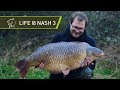 Life At Nash 3 - Big Carp Fishing Behind The Scenes