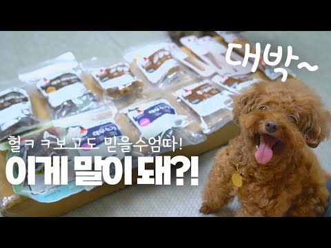 혜자스런 집사만 아는 꼬니의 특급정보!~ 함께하면 대박나는 9월 황금녘 동행축제!