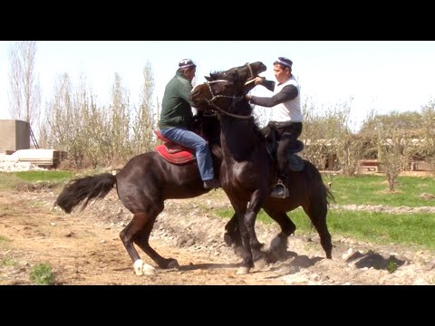 CHAVANDOZ ERALI AKA BUNDAY YUTUQLARGA QANDAY ERISHTI KO'PKARI