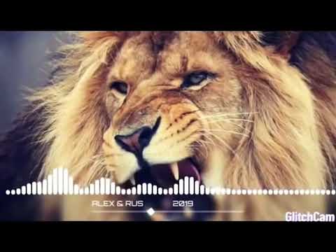 الفنان محمد الشيخ اغاني هيبه مراجل دبكات حماسيه حالات هيبه اغاني 2021 مراجل