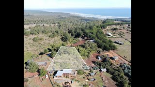 Terreno en Pichilemu con bosque nativo y vista al mar