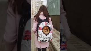 SPACEPET Рюкзак-переноска для животных SPACEPET Рюкзак-переноска для животных
