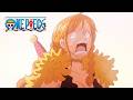 Robin Makes the Straw Hats Cry | ONE PIECE