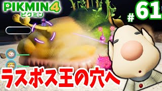 ラスボス王の穴に再び突入！コウテイデメマダラを回収しよう！part61【ピクミン4】