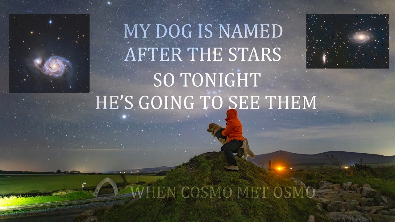 Taking my dog for a night out under the stars