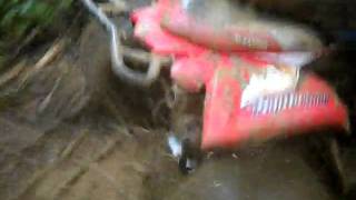 DSCF5202.avi