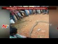 Python Hulchul at Chandrababu Naidu House : Vijayawada