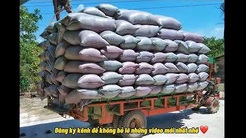 Công nông 2 cầu chở 12 tấn lúa leo dốc cực khoẻ ở Eakar