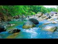 Deep Sleeping Relaxing Music 💧 Calm River Sounds for Deep Rest