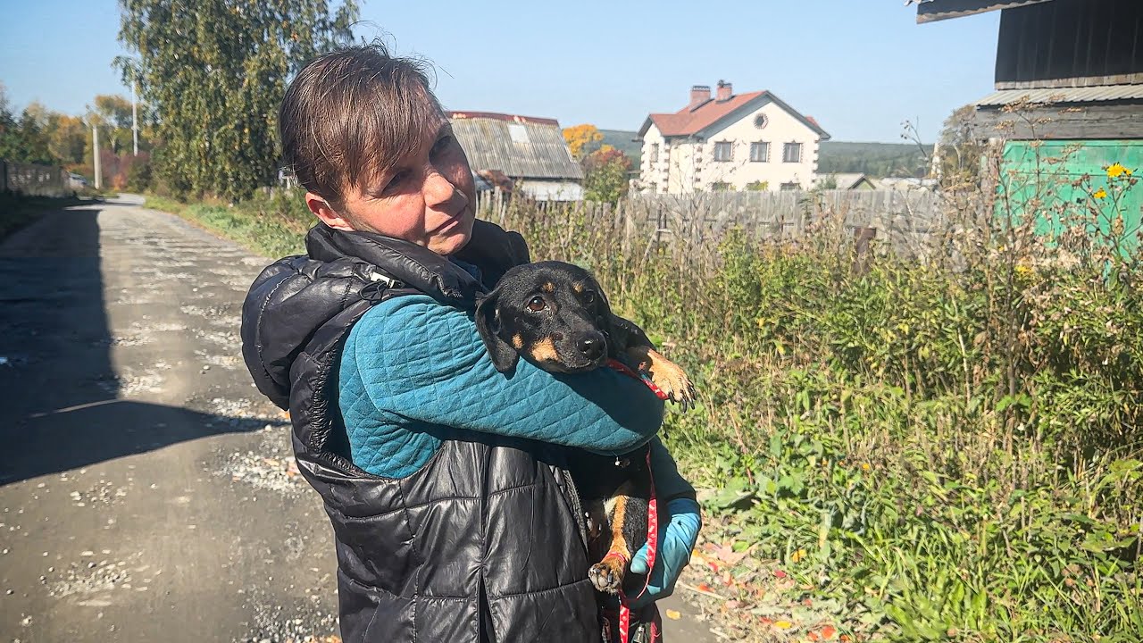 Приехала новенькая стесняшка, и сразу же стала суперзвездой среди наших хвостов!