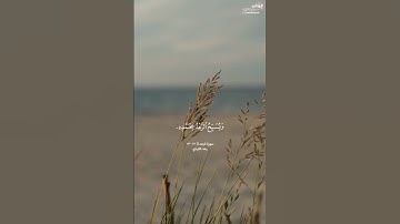 ﴿هو الذي يريكم البرق...﴾ [الرعد:١٢-١٣] || القارئ رعد الكردي