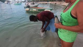 Sailing from St Thomas to Grenada and a few fun stops along the way....