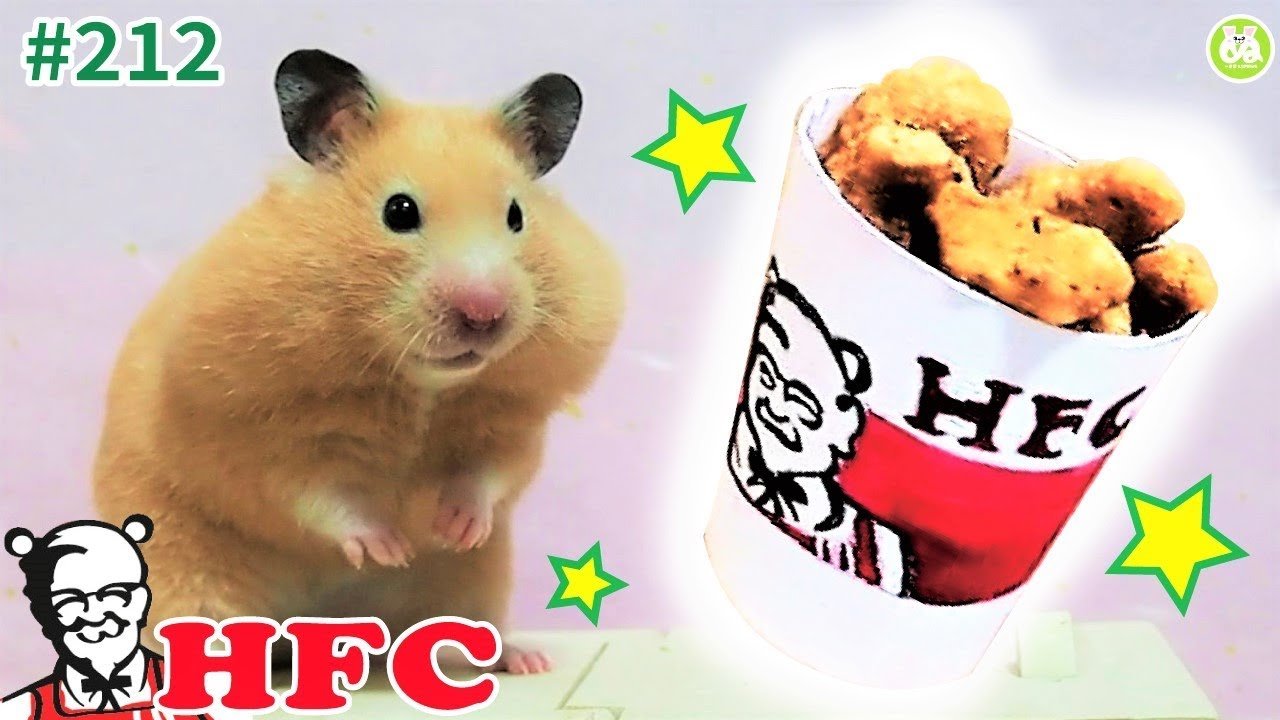 ハムスター 動画 美味すぎてケンタッキーに突っ込んでくるハムスター 笑 ぬーさまlife Blog