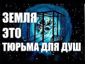 "Земля"-тюрьма или школа? Карты ответили четко! Идеальная пара #99