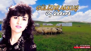 Gülizar Akkuş - Oy Qedere [ Çok Derli Duygulu Stran] Köy Manzaralı Video Resimi