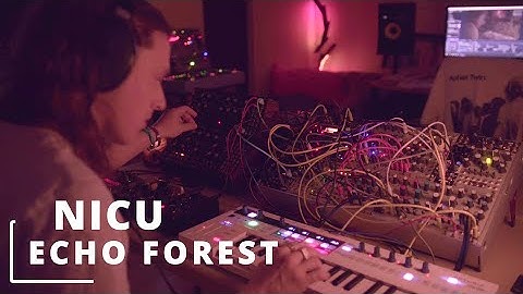 Echo Forest - Dark Ambient Music on Eurorack (Moog Mother-32 + DFAM + Modular Synths)