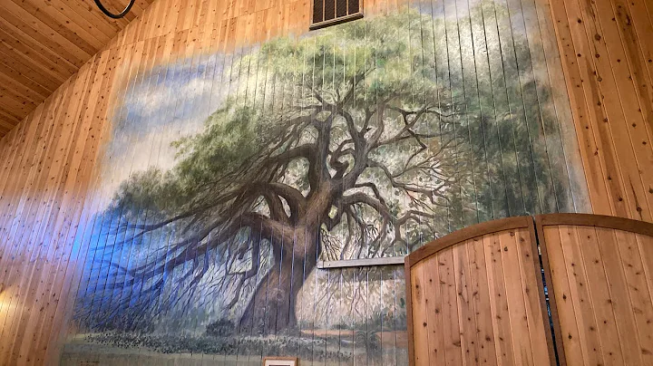 Becker Vineyards Hill Country Wine Tour