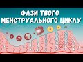 ЩО САМЕ ВІДБУВАЄТЬСЯ ПРОГЯТОМ МЕНСТРУАЛЬНОГО ЦИКЛУ?