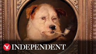 Portraits of Dogs: London exhibition explores human devotion to four legged friends