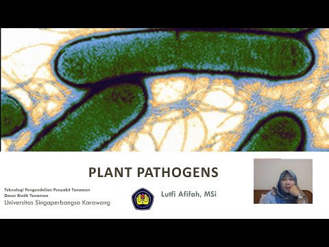 TPP 3.  Plant Pathogens