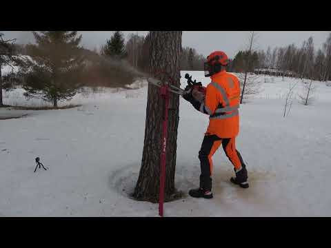 Video: Työtäkö punnerrukset käsivarsia?