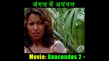 Jungle me ye hua | Hollywood movie explained in hindi | Movie explain #shorts