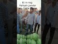 solapur APMC Market kalingad ret 61 rs nag #shorts #solapurupdate #furits