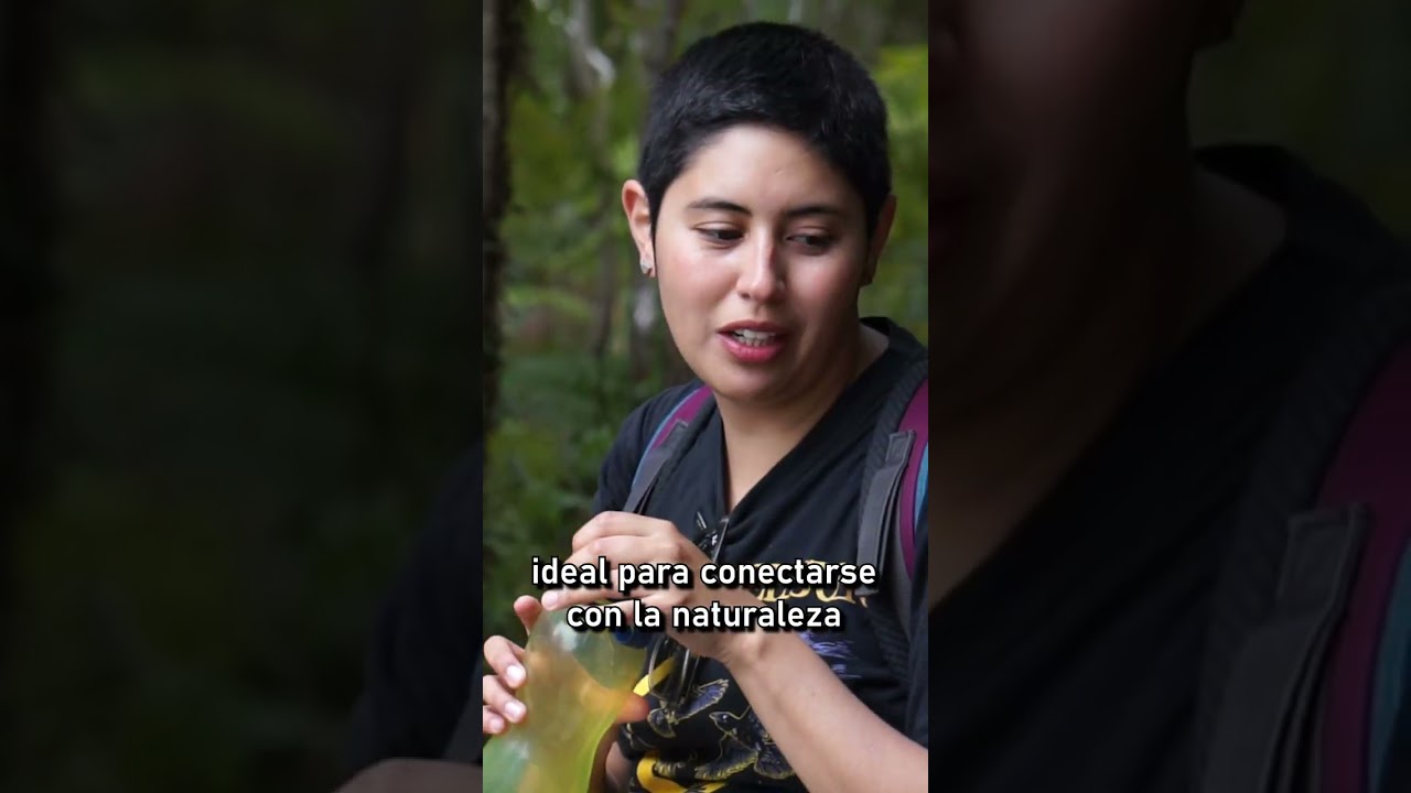 🌊Descubre la magia del sur en Caleta Cóndor🏞️