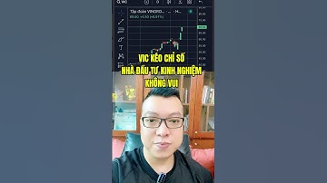 Cổ phiếu VIC được kéo, vui hay buồn của nhà đầu tư #news #chungkhoan