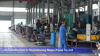 An Introduction to NAIPU PUMP 1