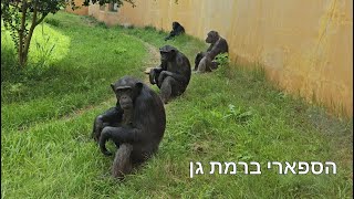 הספארי ברמת גן | Ramat Gan Safari