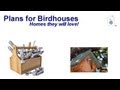 Plans For Birdhouses Plans For Birdhouses