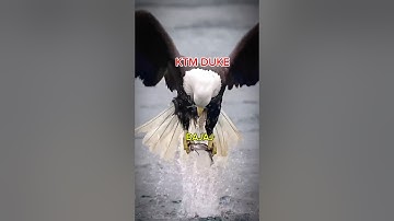 Transition Video For Duke 250 Gen 3 #trending #biker #transition #rider #viral #shorts #duke250gen3