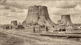 The Trees They Cut Down Were 40 Miles Tall — America’s Mesas Are What Remains Net Worth