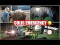 My Horse Colicked! | Midnight *Emergency*