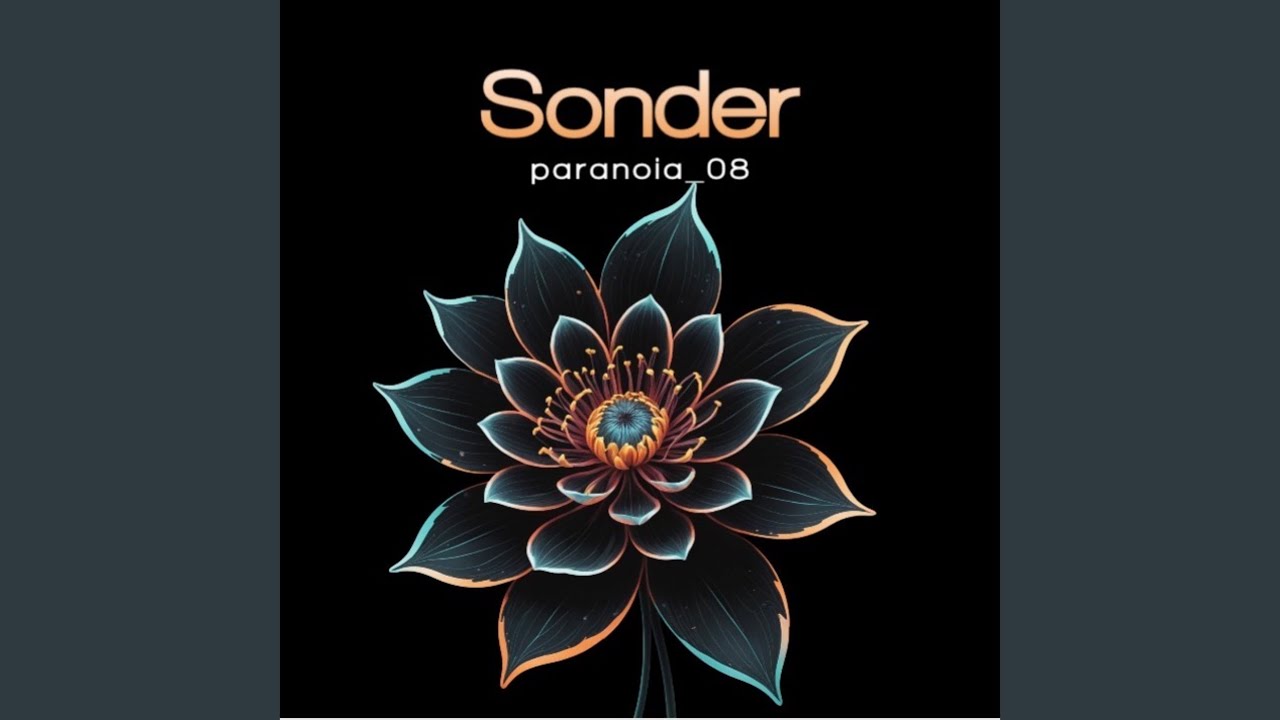 Watch Sonder on YouTube Watch Sonder on YouTube