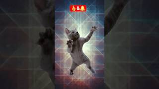 #Happy Cat #christmas #animation #youtubeshorts ##viral #talkingtom #jinglebells #2025