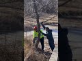 Keeping It Clear: Winter Pond Maintenance in Action