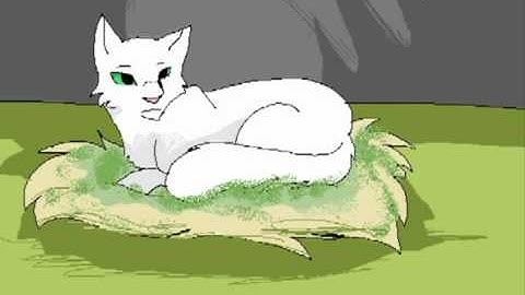 1000 Years MEP Part 11 and 12