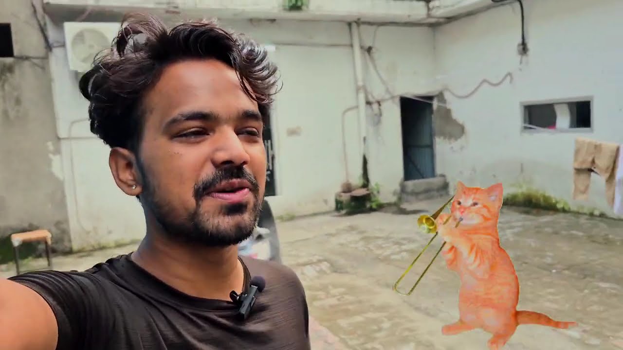 cat trapped vlog😱 बिल्ली फंसी हुई ब्लॉग 