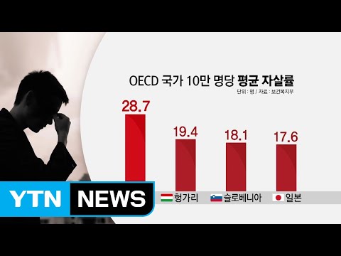 12년째 OECD 자살률 1위 하루 44명꼴 YTN 