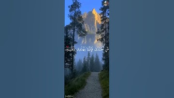 وَكُلَّ إِنسَٰنٍ أَلۡزَمۡنَٰهُ طَٰٓئِرَهُۥ فِي عُنُقِهِ - احمد العجمي [سورة الإسراء,١٣-١٥]