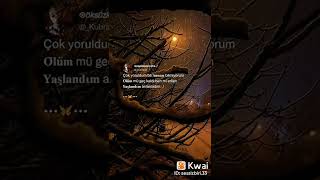 Ağrı Patnos Beyen Ve Yorum Yap