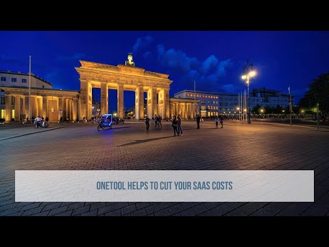 Onetool helps to cut your SaaS costs